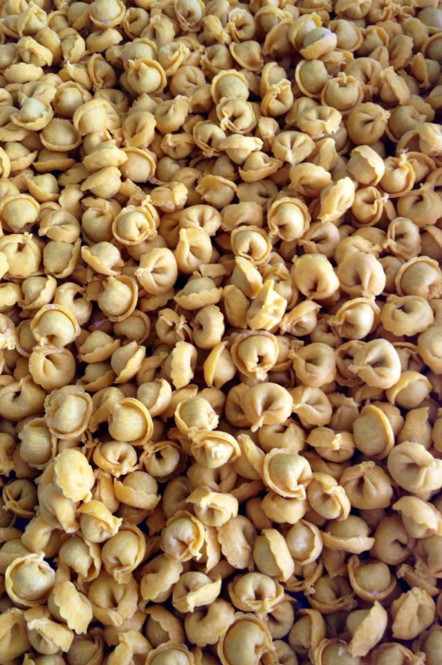 Sfizio e Pasta Civitanova Marche · Foto 1